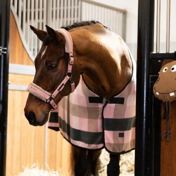 Попона Check Platinum