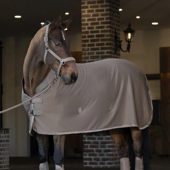 Попона денниковая Platinum