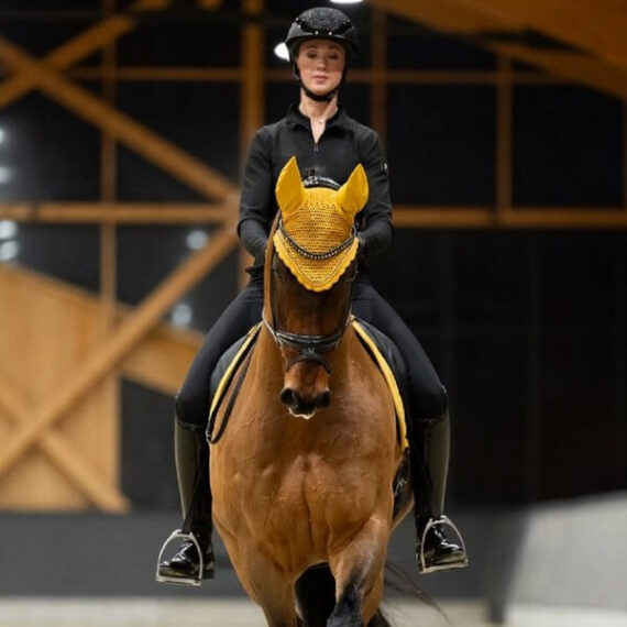 Ушки Pearls Platinum