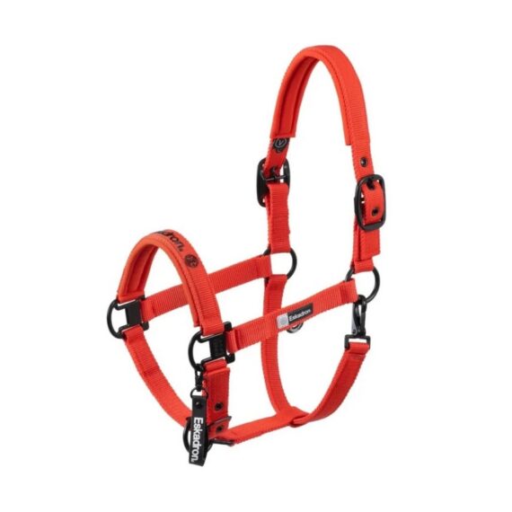 Недоуздок Dynamic Eskadron