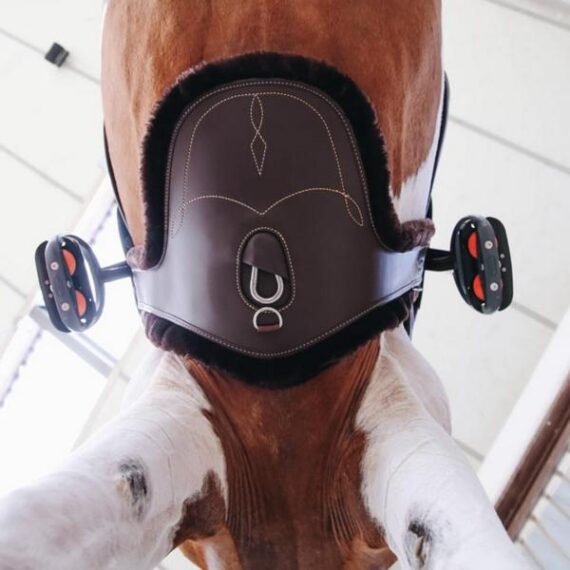 Подпруга Kentucky