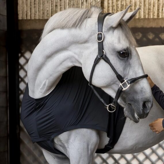 Бандаж Kingsland