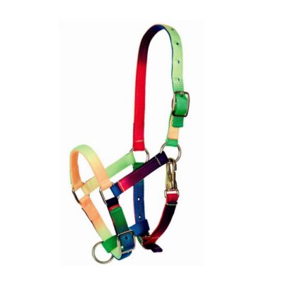 Недоуздок Multicolor