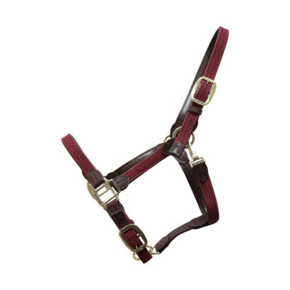 Недоуздок Kentucky