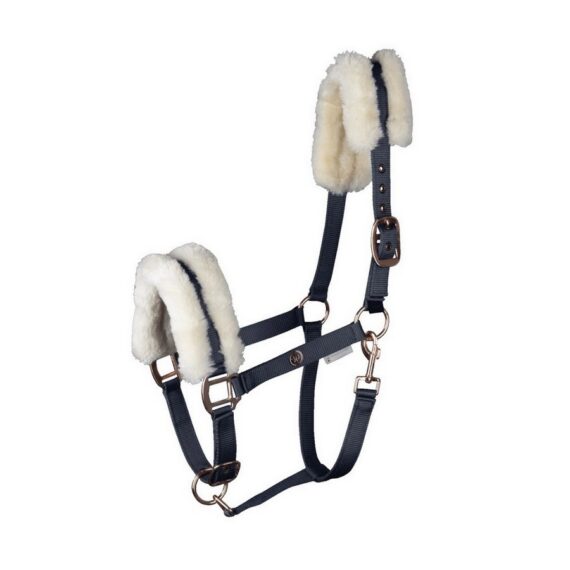 Недоуздок Modern Rose