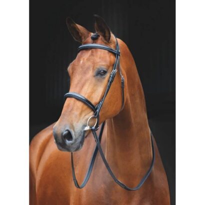 Уздечка Fairford