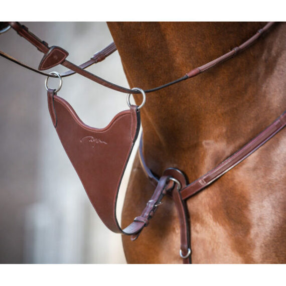 Мартингал Dyon