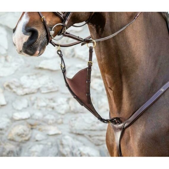 Мартингал Dyon