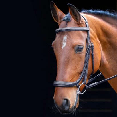 Уздечка Berkeley