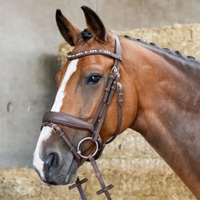 Уздечка Bombastic