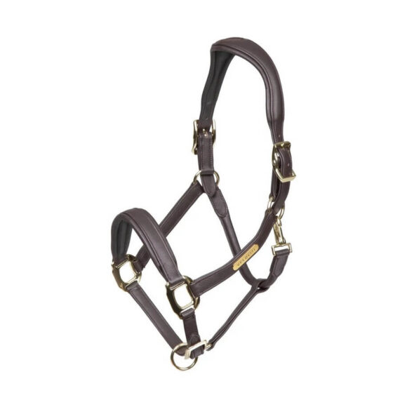 Недоуздок Shires