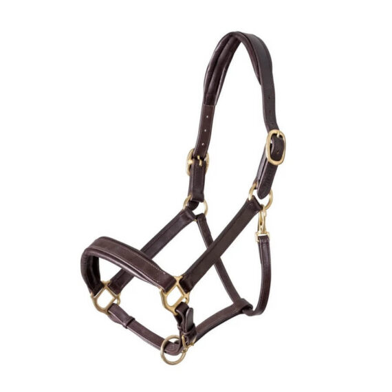 Недоуздок Shires