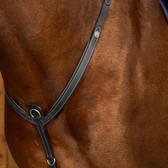 Подперсье Dyon