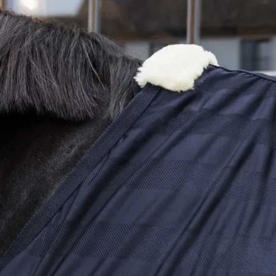 Попона Kentucky