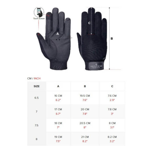 Equestrian Stockholm size