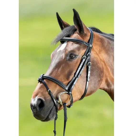 Уздечка Anatomic