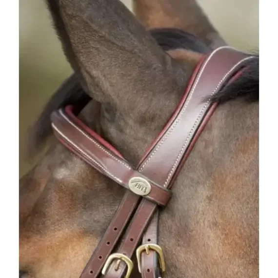 Уздечка Anatomic