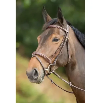 Уздечка Anatomic