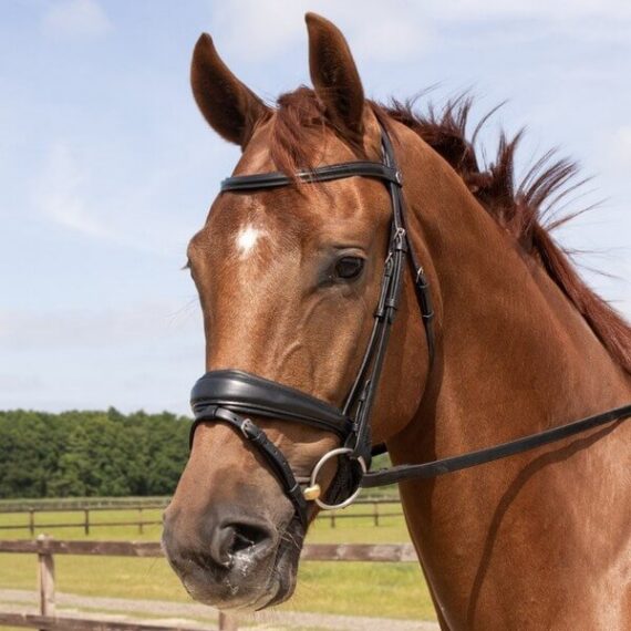 Уздечка Elegance